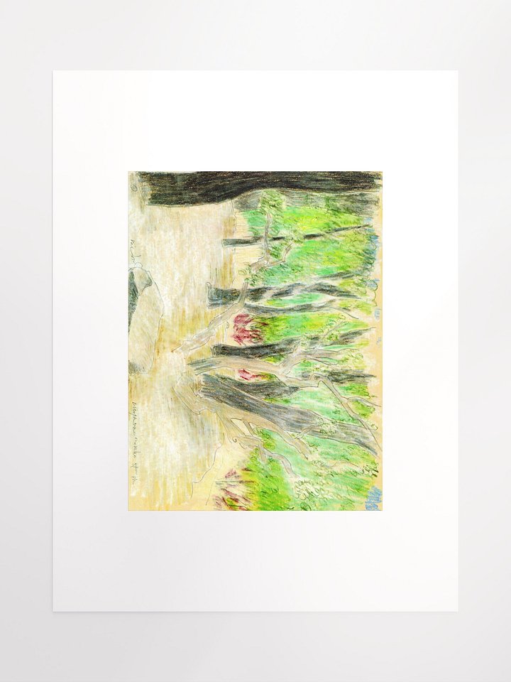 Cuyamaya Canyon State Park, CA 09.16.86 print product image (2)