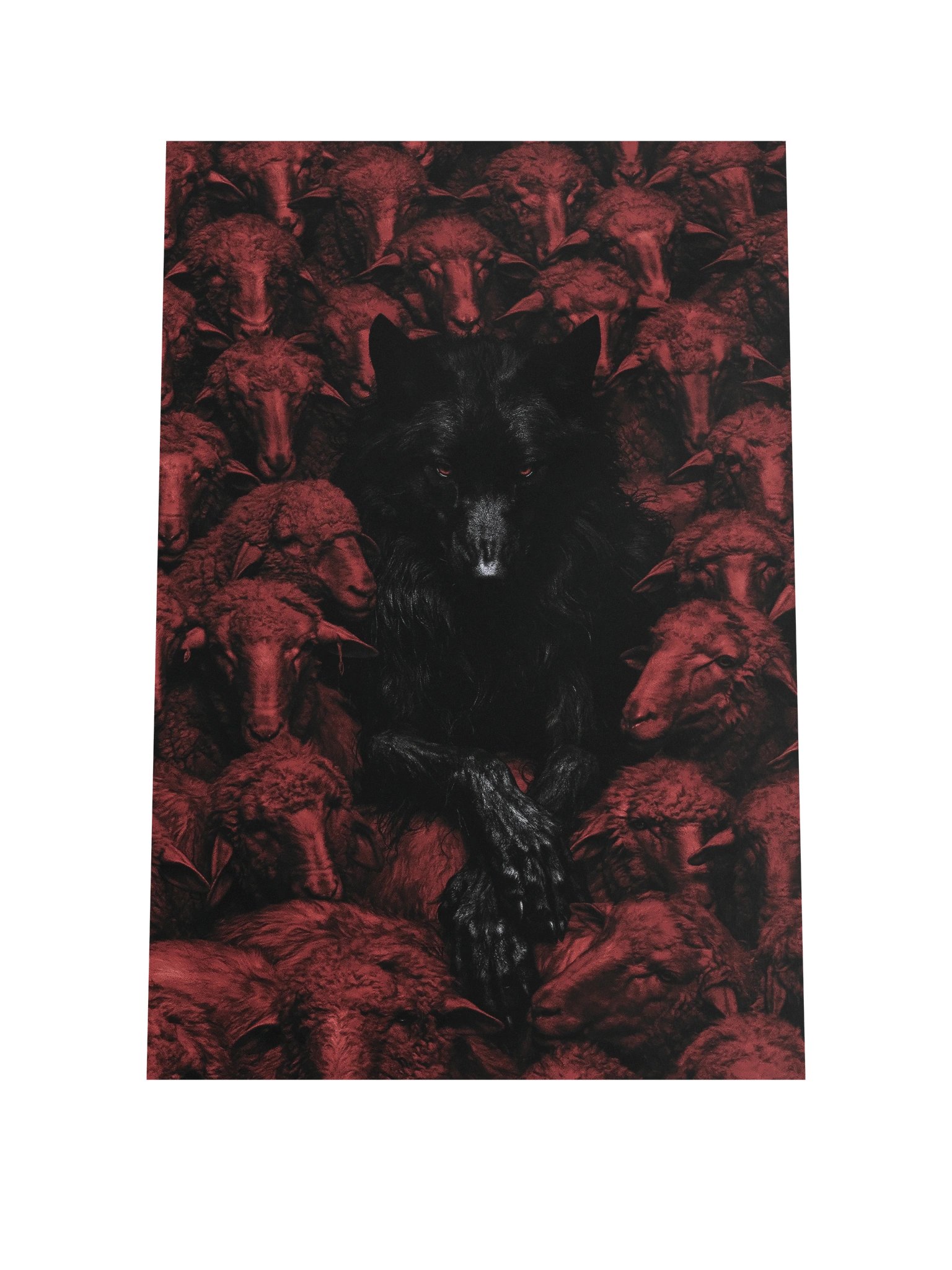 Wolf in the Flock product image (1)