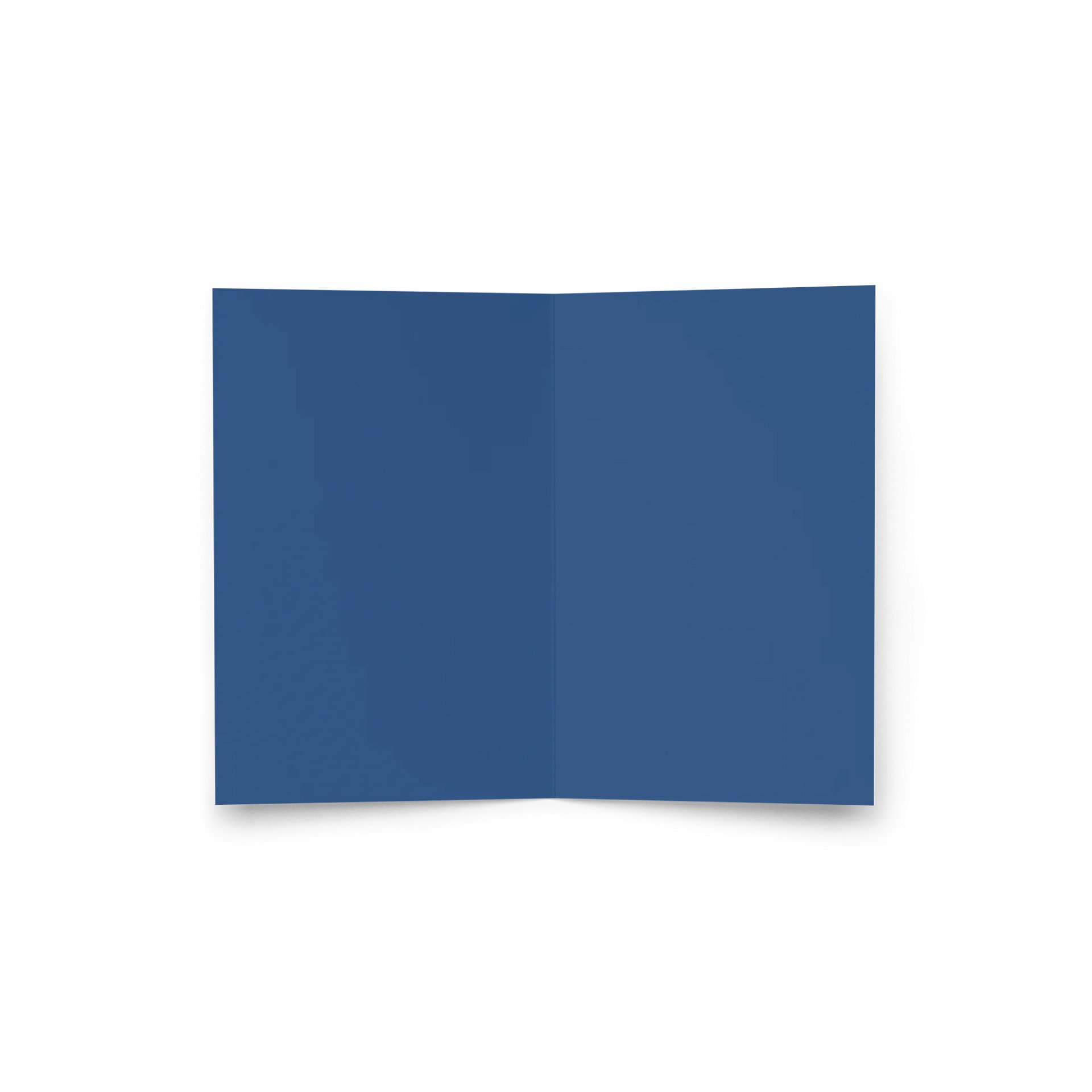 Wild Card product image (3)