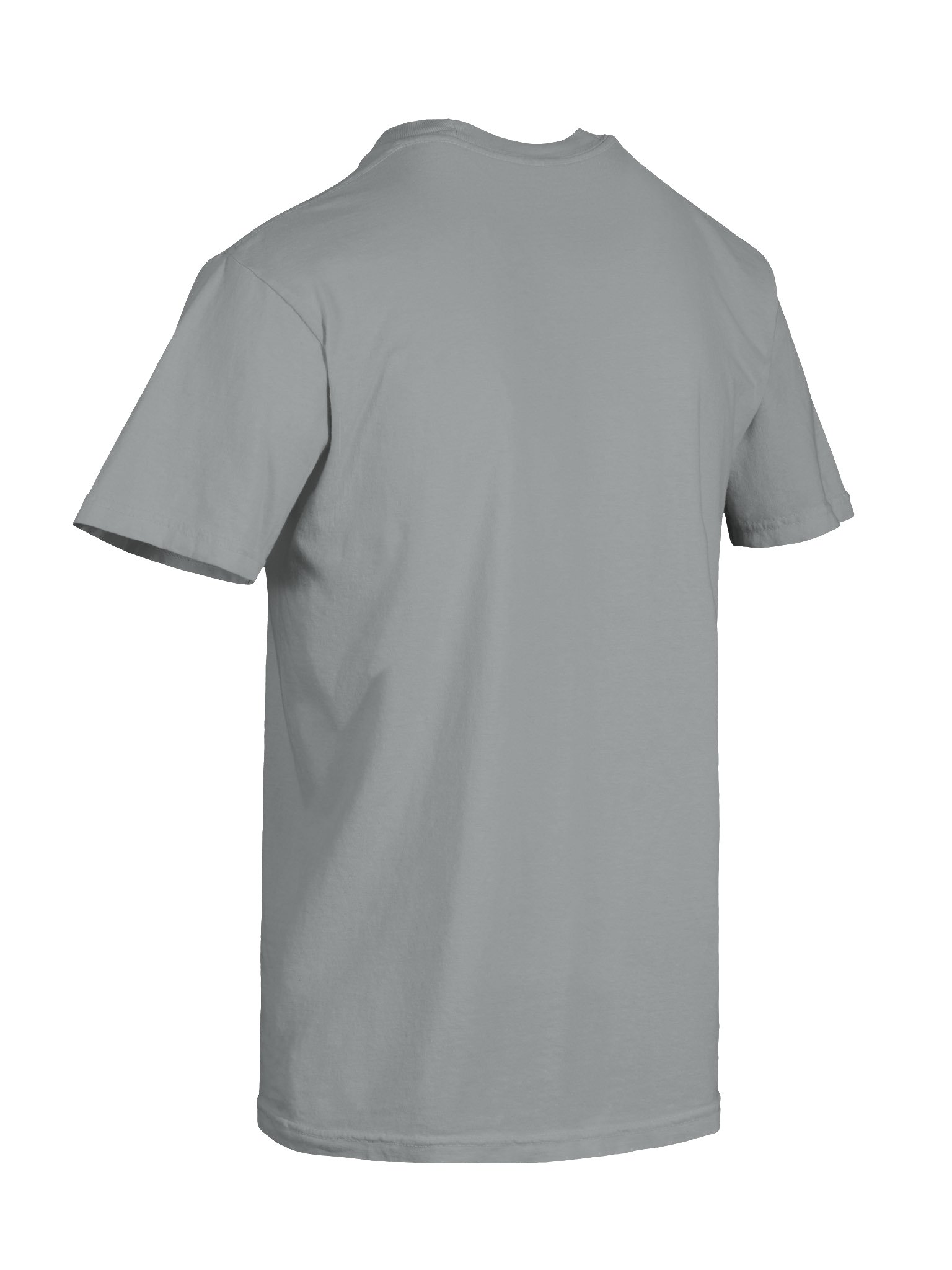 The Whole Food Plant Based Cooking Show Tee - Light product image (84)
