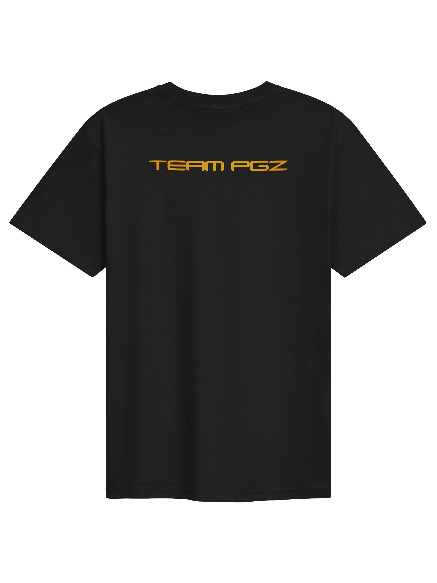 PGZ Shirt - Chest logo product image (5)