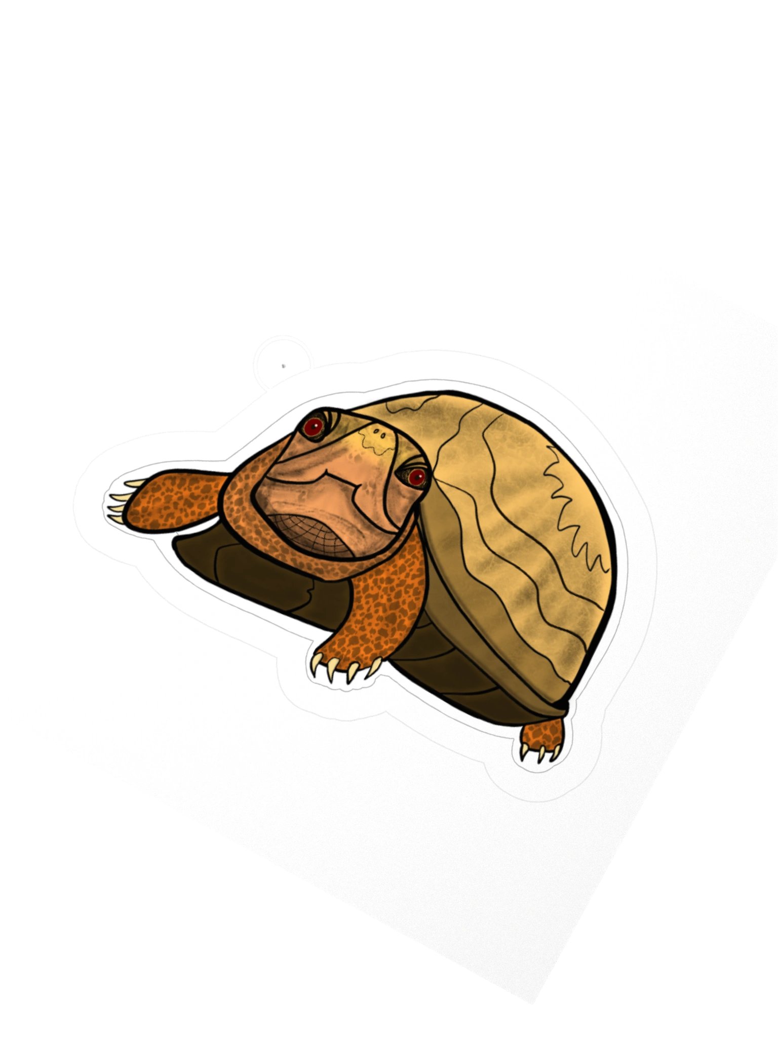 Twenty Turtle Six - February product image (2)