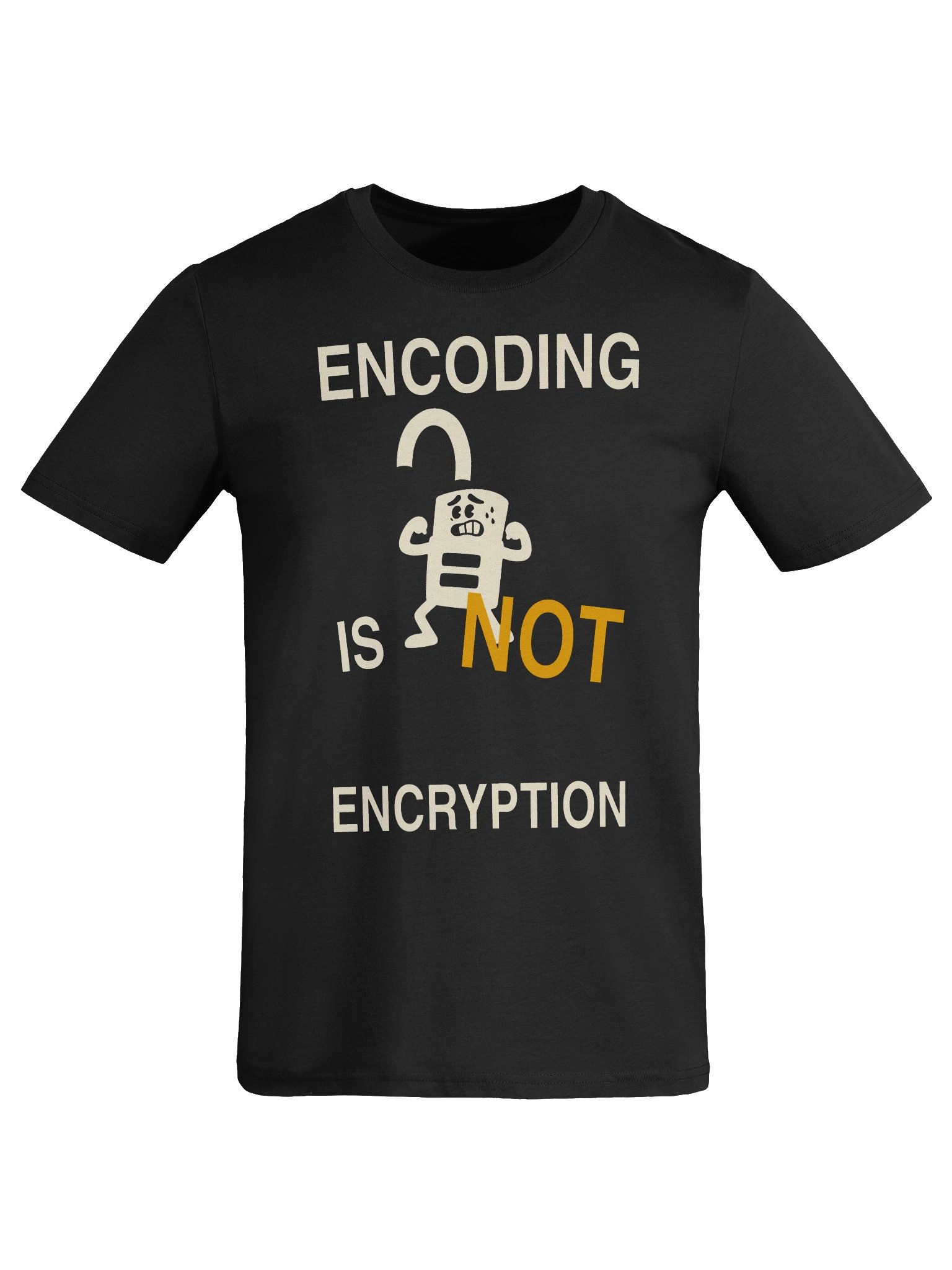 Encoding Is Not Encryption product image (3)