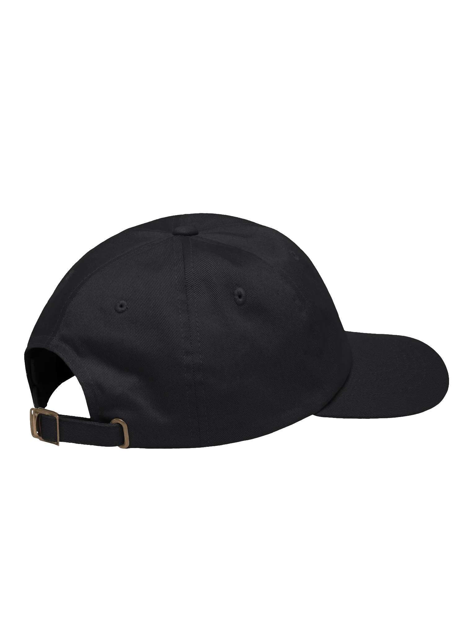 Slanted Bitcoin Embroidered Dad Hat product image (4)