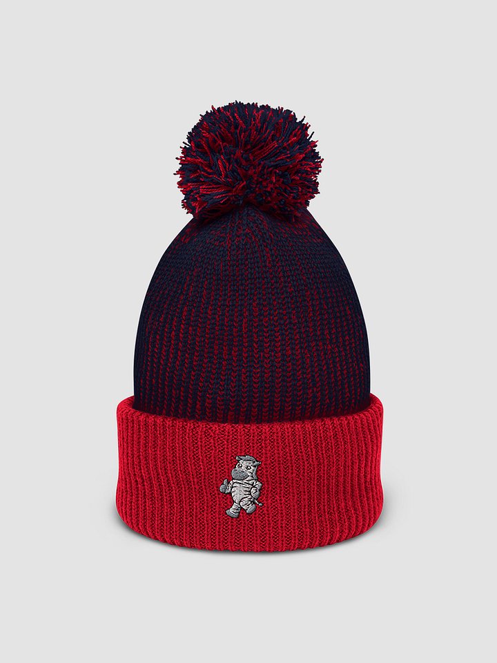 Lloyd Pom-Pom Beanie product image (1)