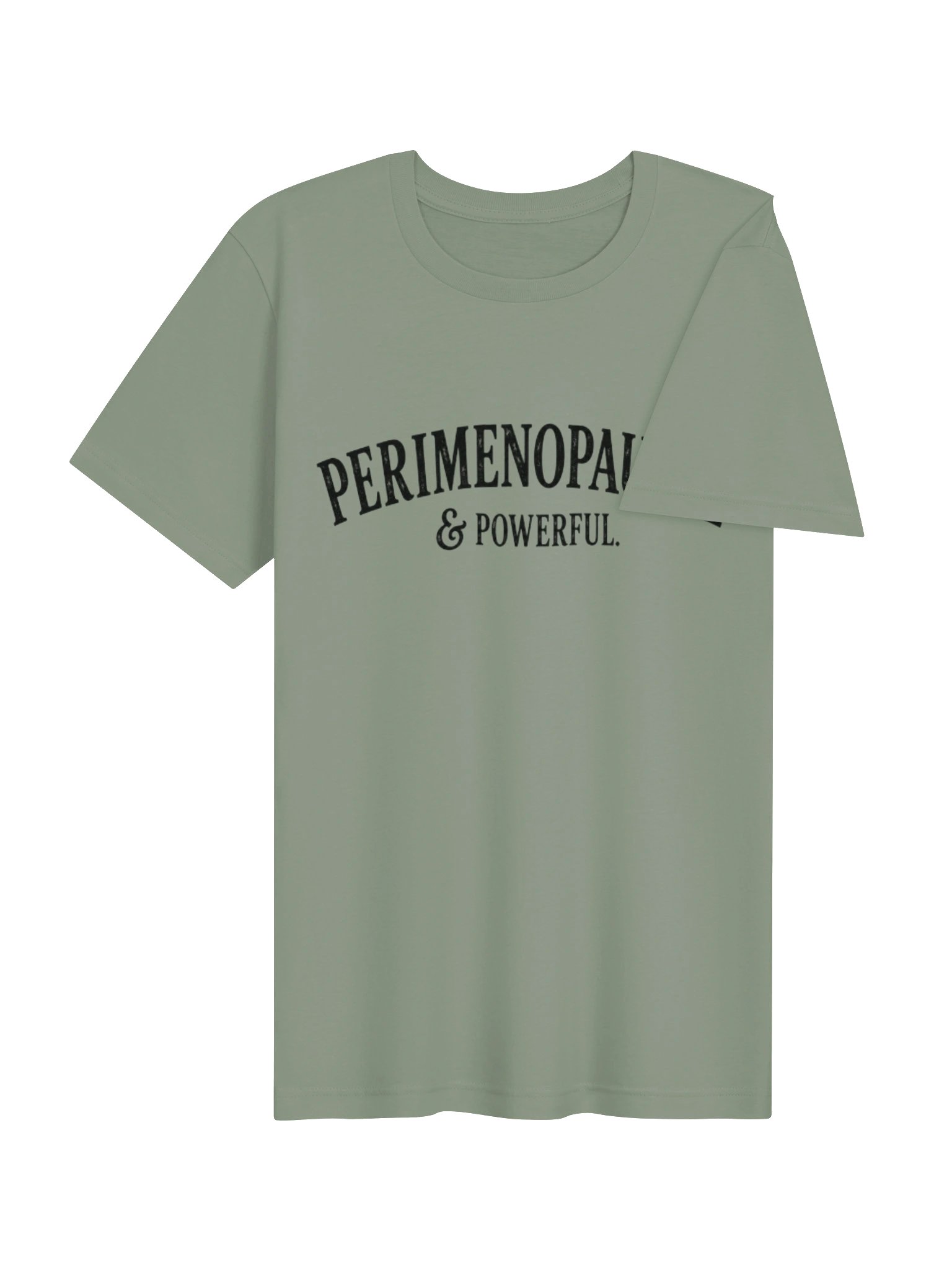 Perimenopausal & Powerful | Vintage Perimenopause Graphic Tee product image (19)