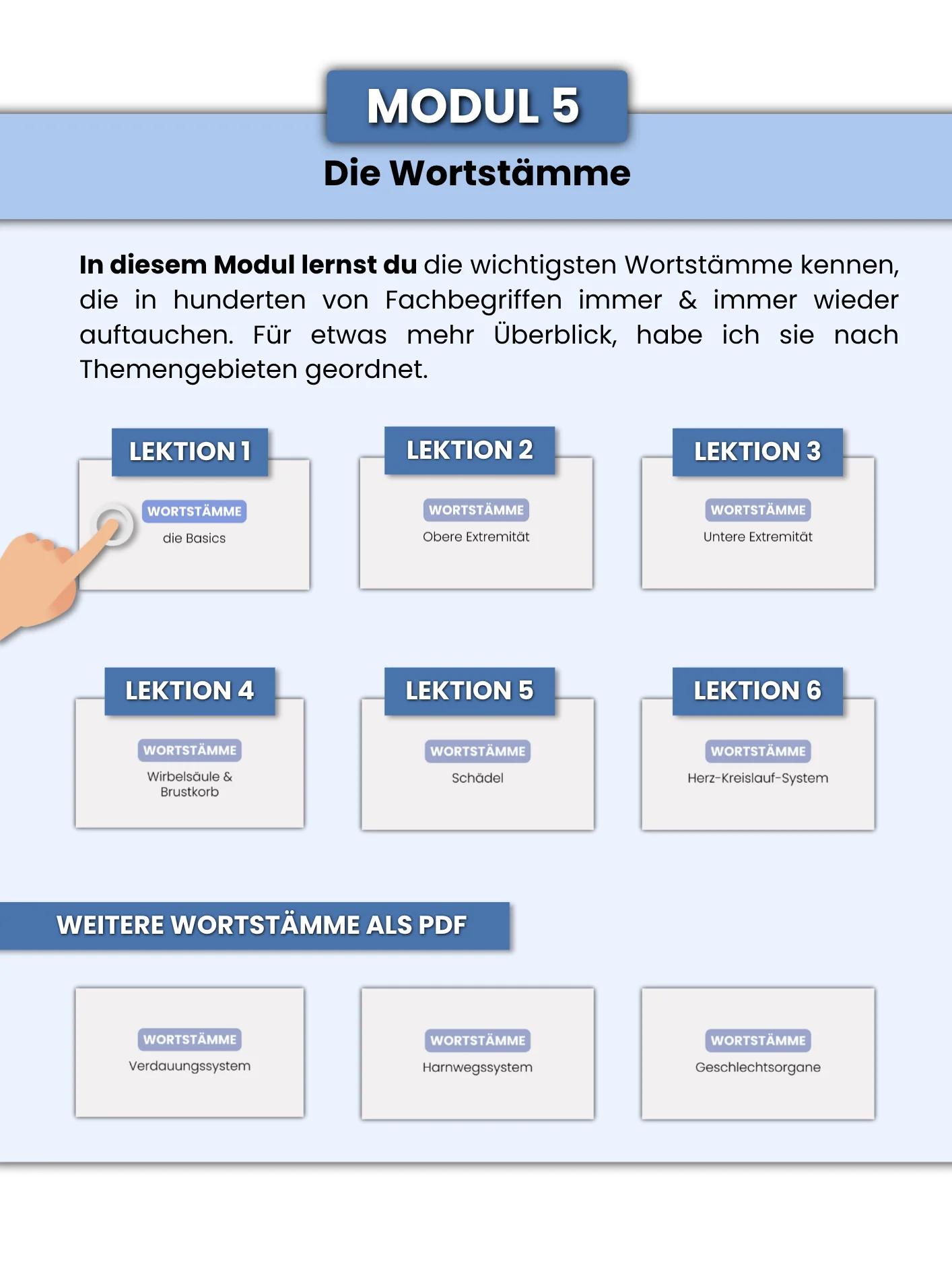 Anatomisch gesprochen - medizinische Fachbegriffe entschlüsseln product image (6)