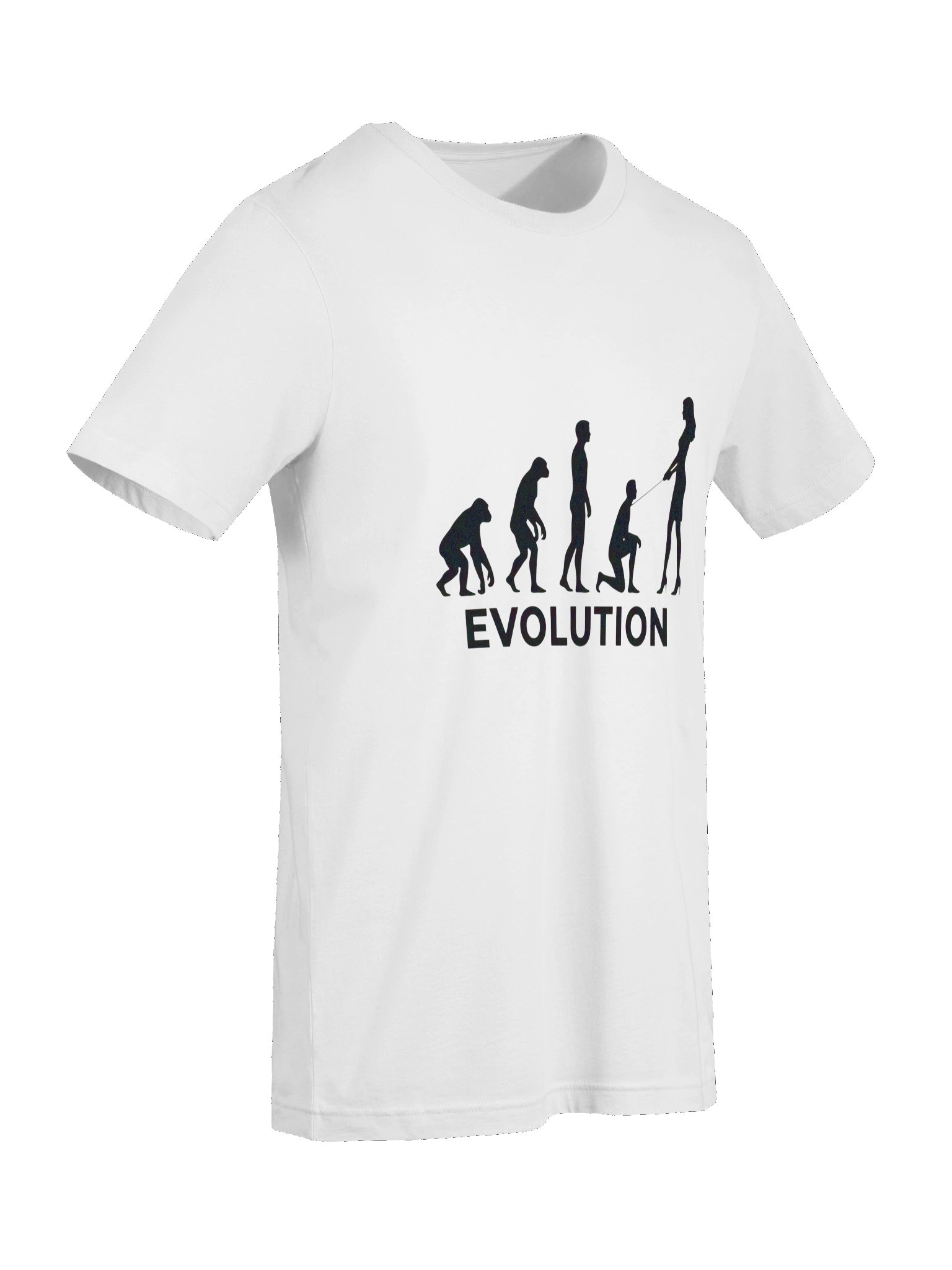 Evolution tshirt product image (47)