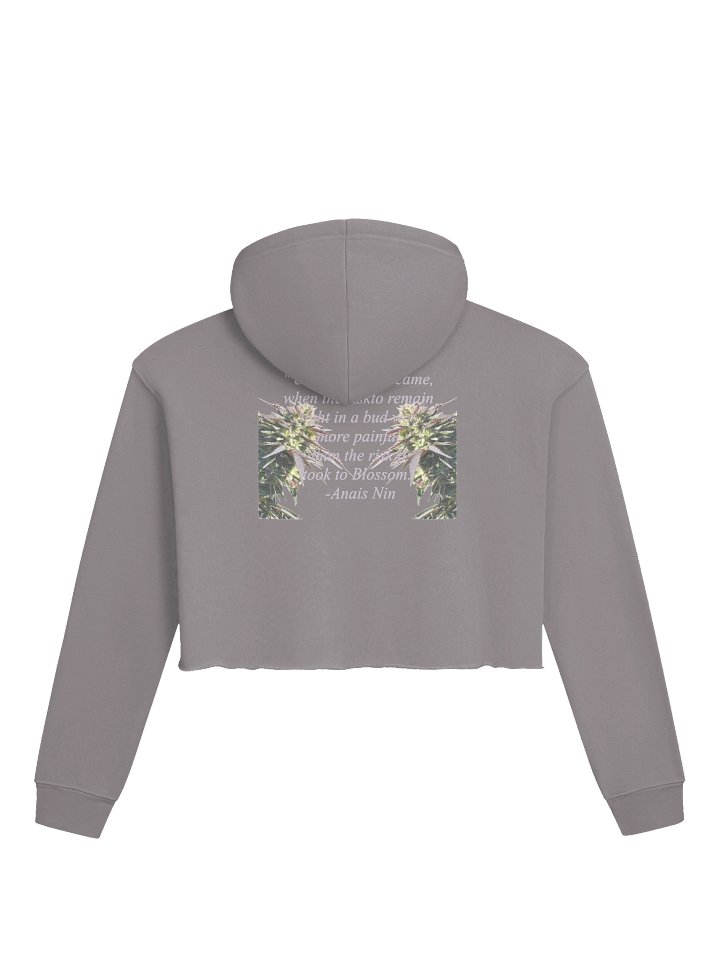 The Herb of Sacred Babes product image (4)