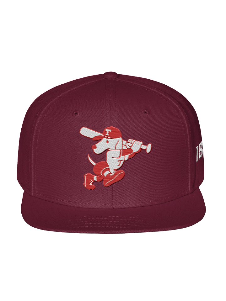 Galt Terriers Legacy Cap product image (6)