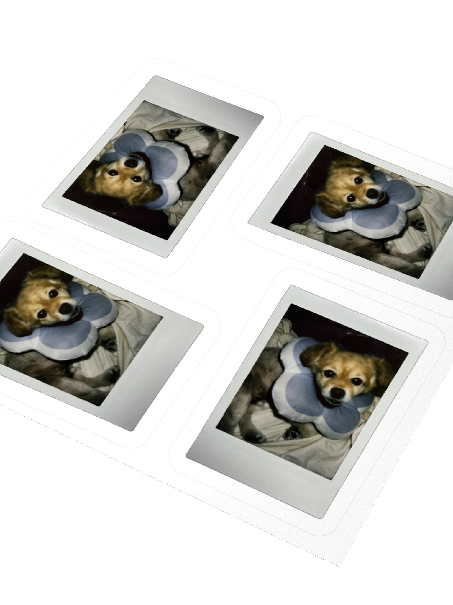 For your friends product image (8)