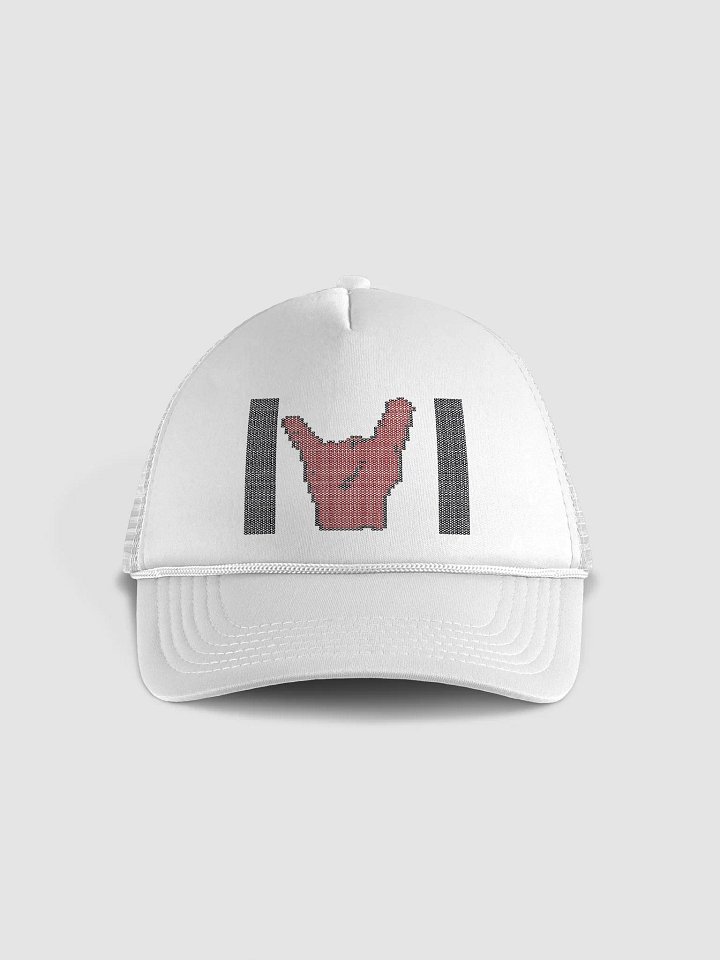 TDI Logo 2 Hat product image (1)