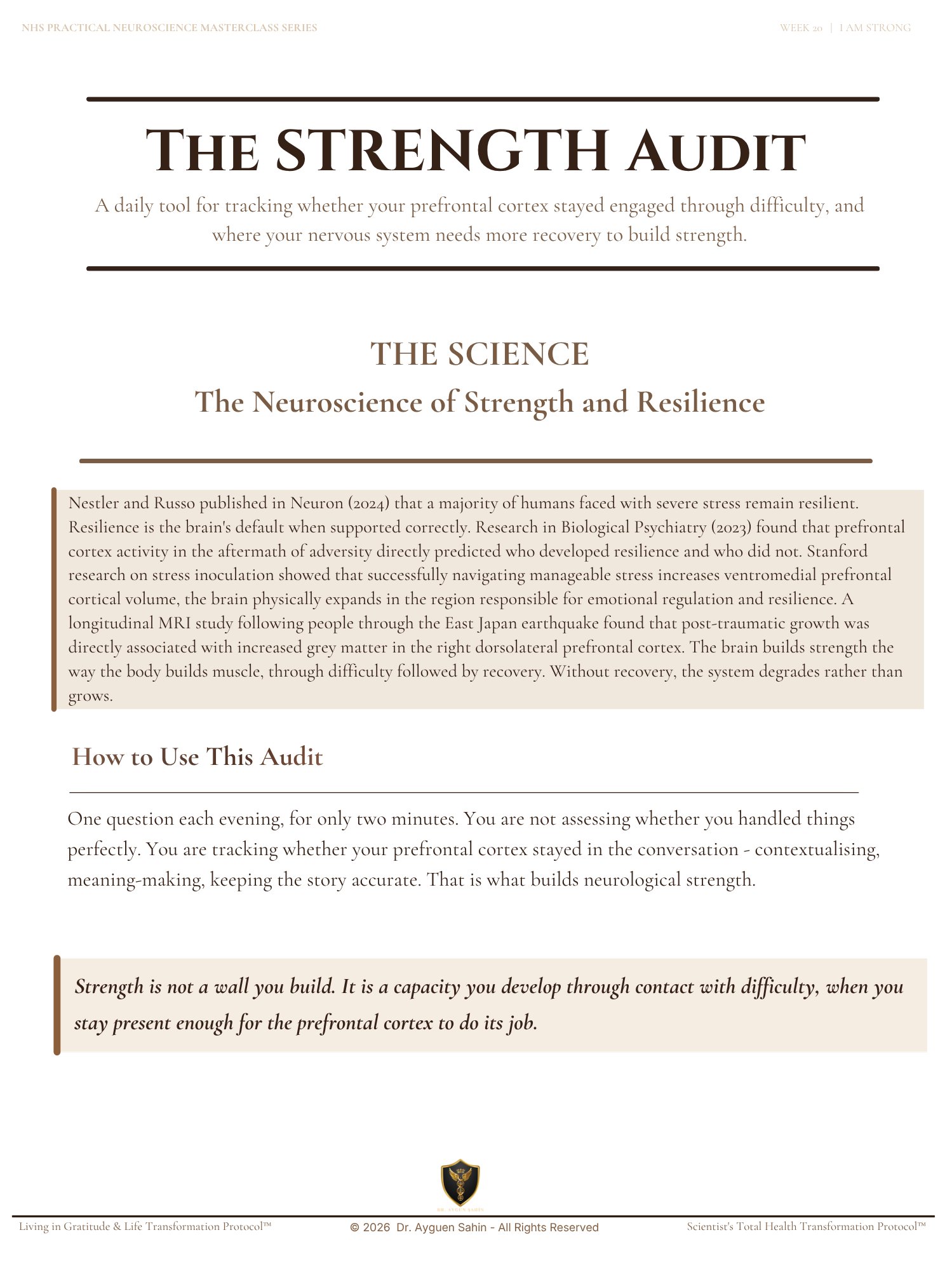 THE STRENGTH AUDIT product image (2)