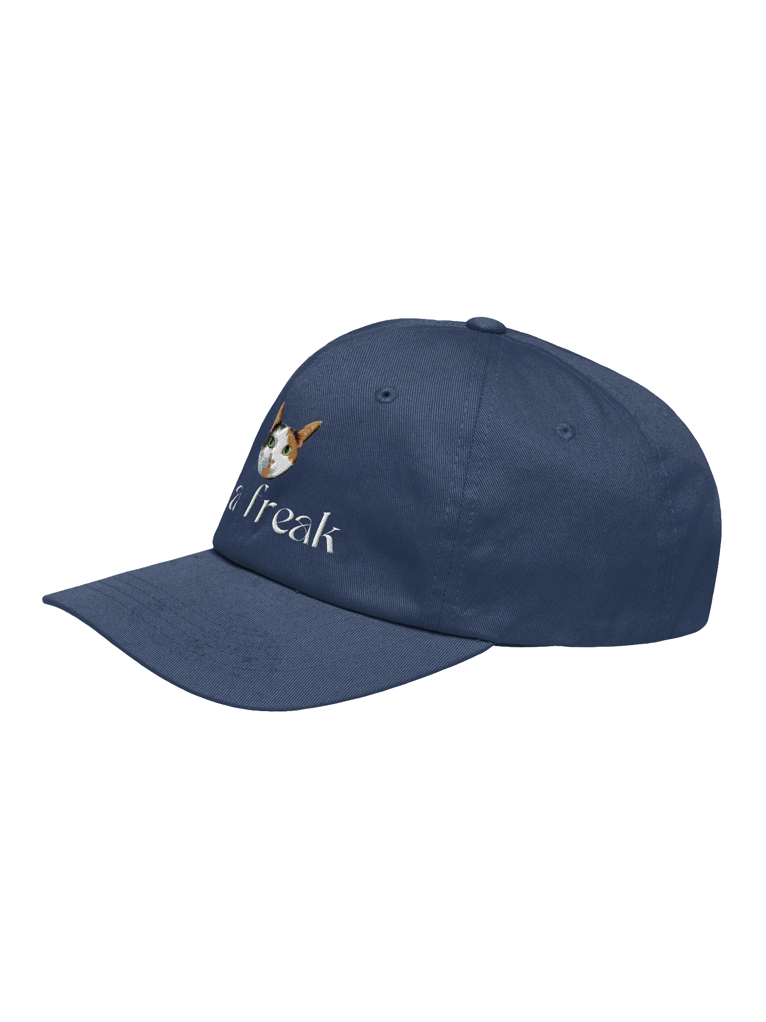 Be A Freak Dad Cap product image (11)