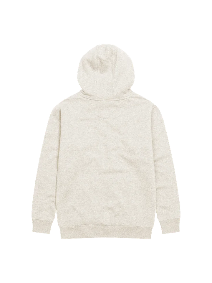 PDA USA Unisex Premium Hoodie product image (6)