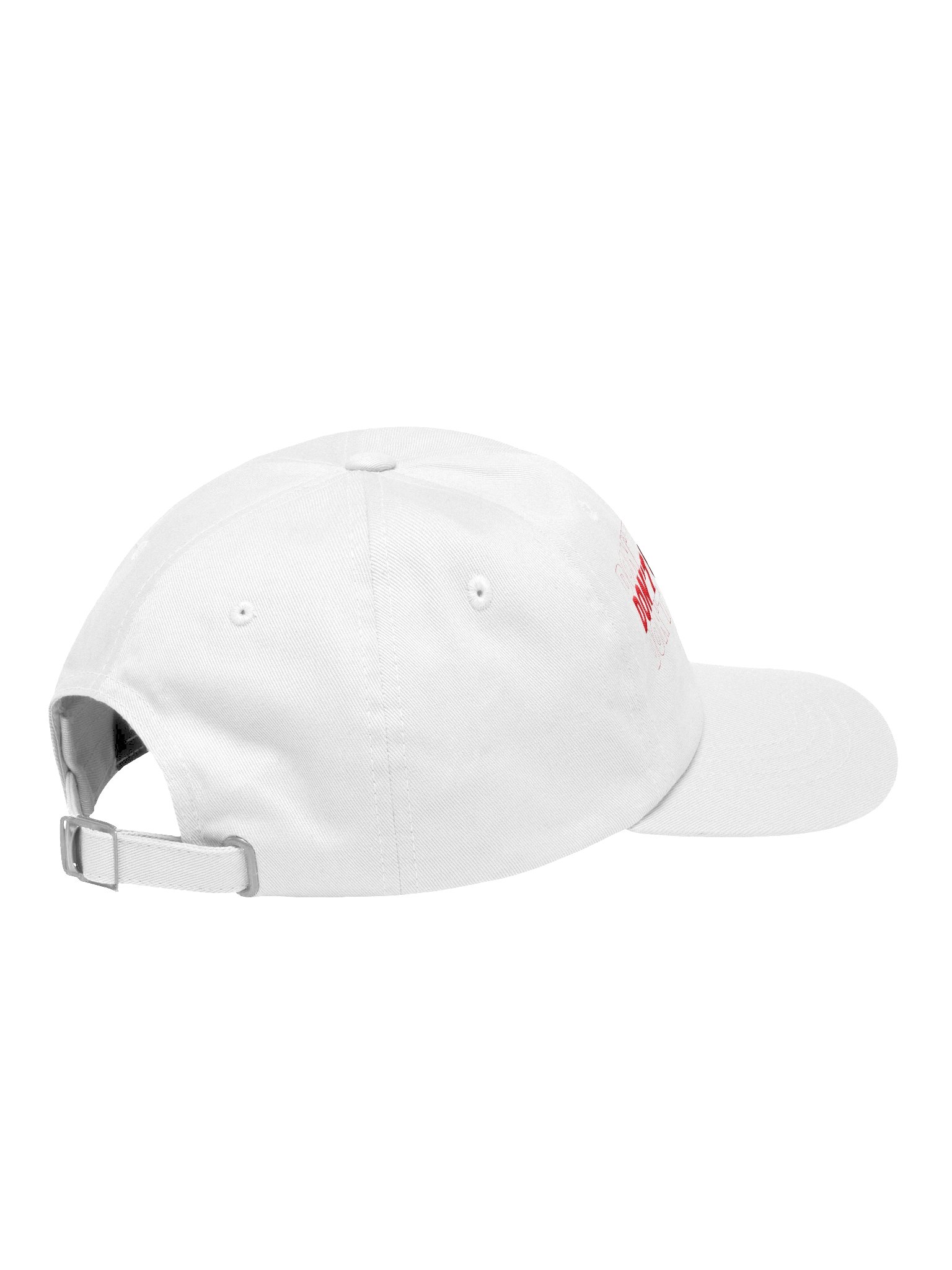 'Don't Pair the Board' Dad Hat product image (4)