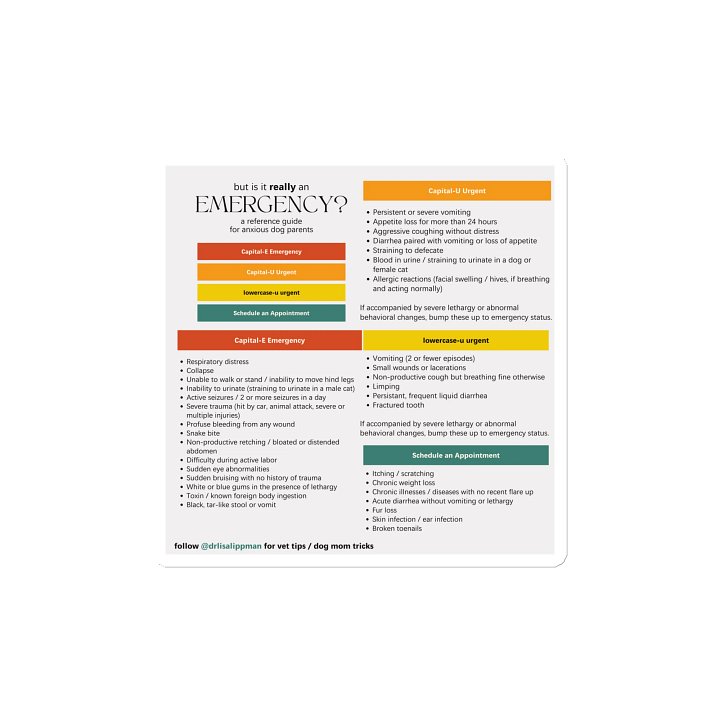 Emergency Urgency Dog Magnets product image (1)