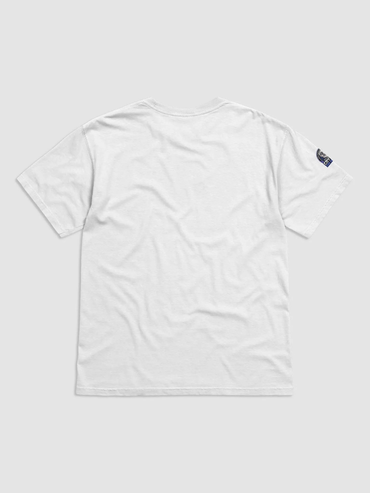 Bitcoin Heavyweight T-Shirt product image (2)
