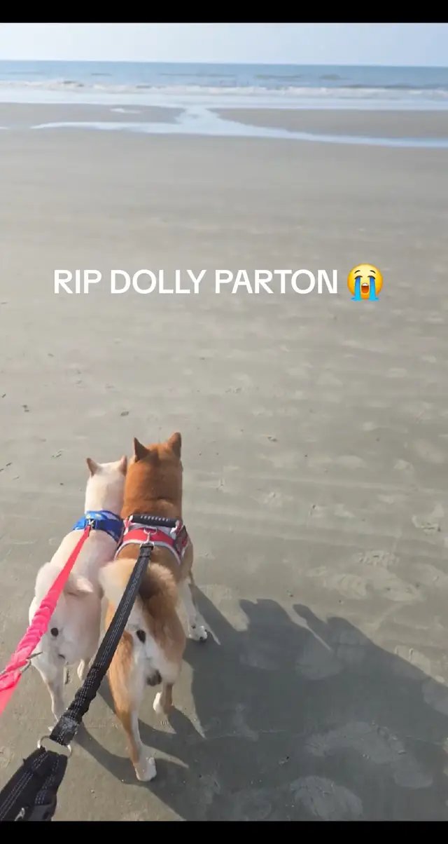 Rest in Peace Dolly Parton. 80 years young. #ripdollyparton 