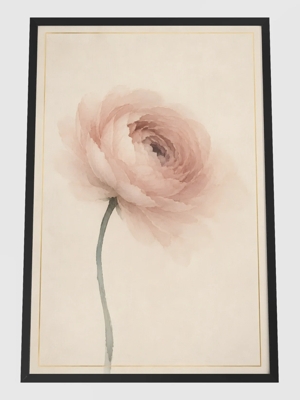 Pale Ranunculus product image (1)