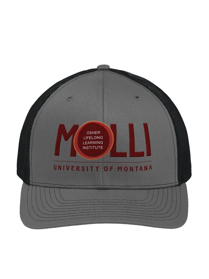 MOLLI Trucker Hat - Gray product image (1)