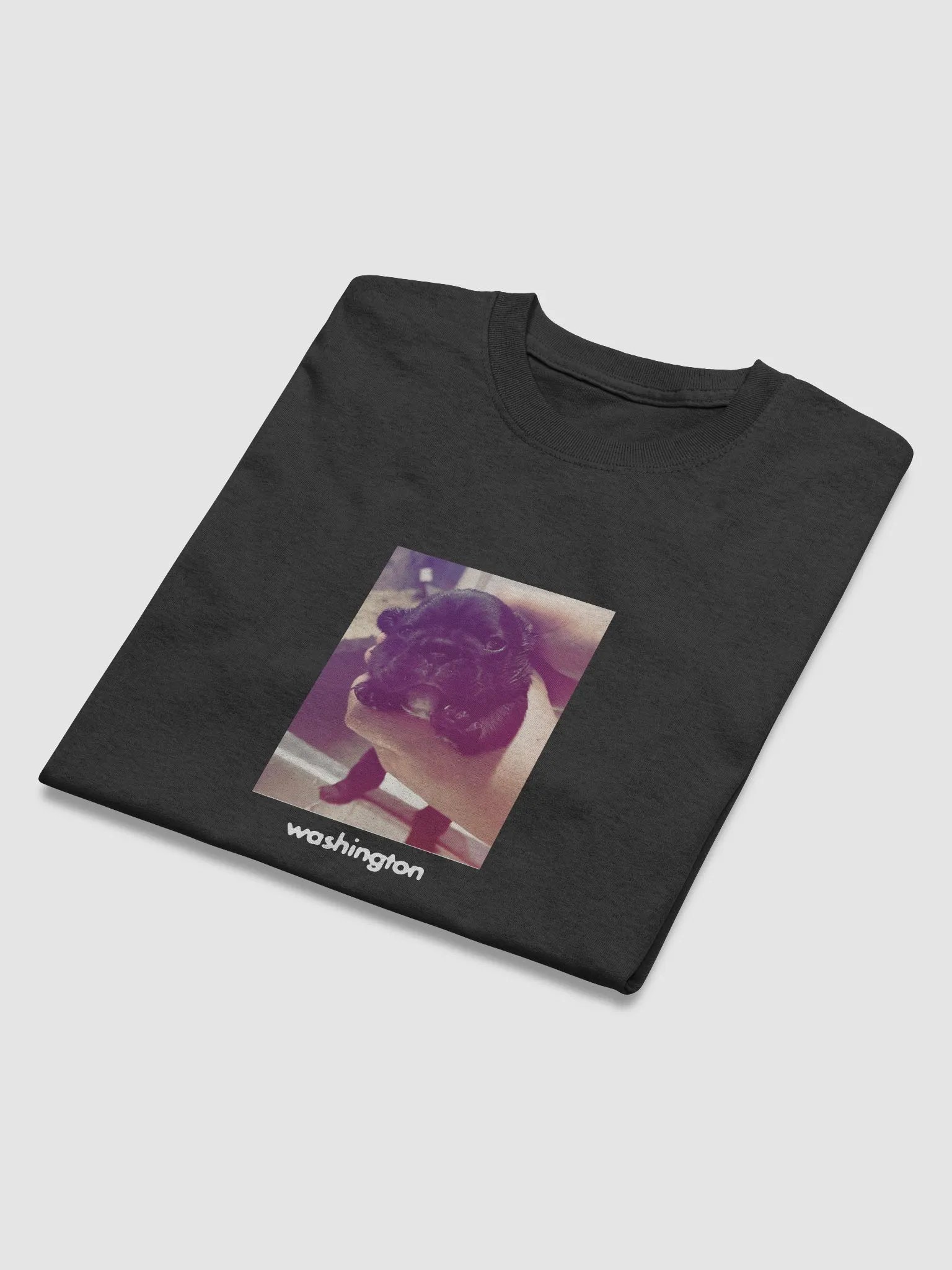 WASHINGTON TEE product image (4)
