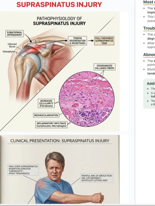 IvyTutoring Step 1 HY Book - MSK product image (2)