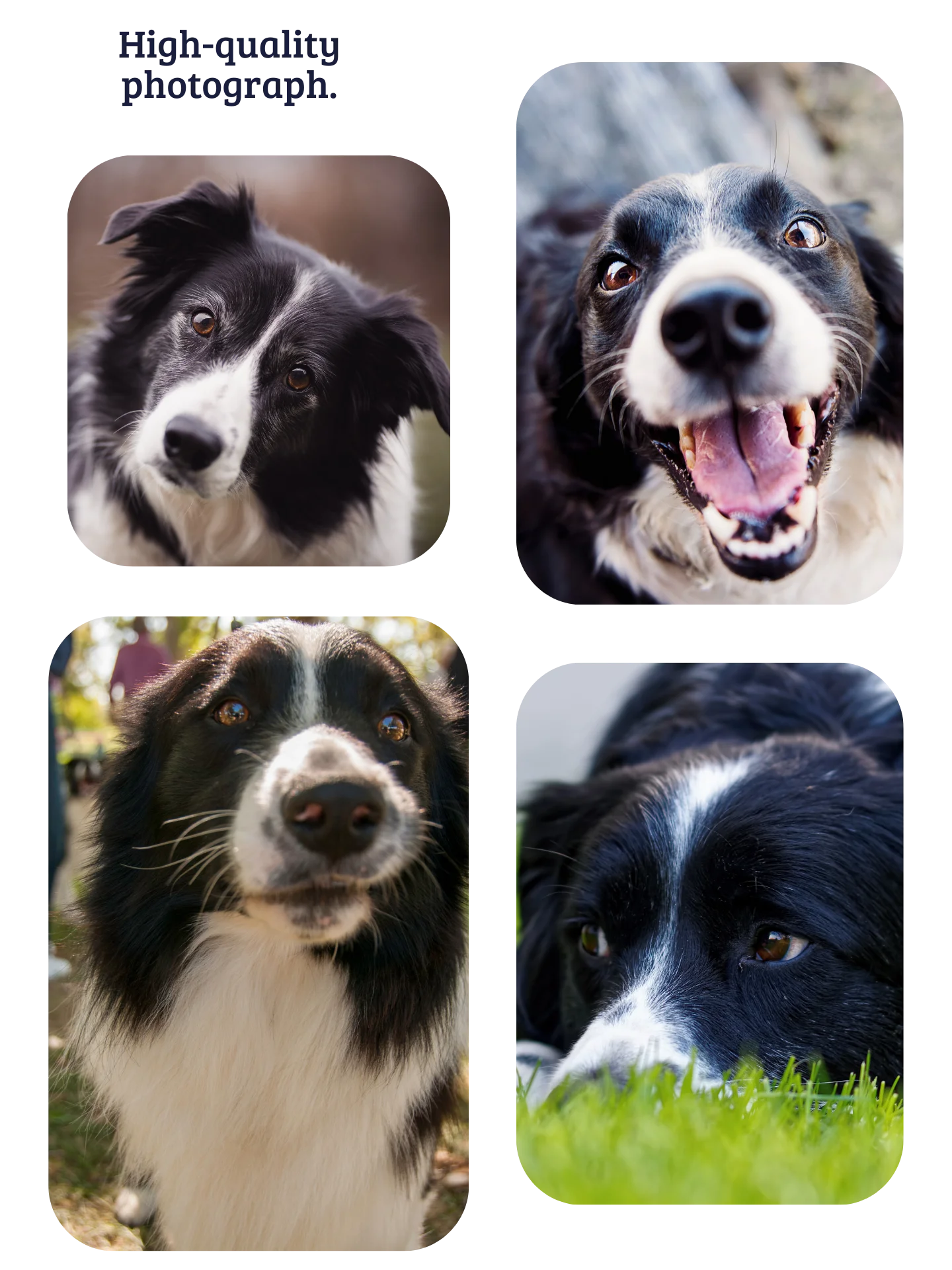 YOUR BEST FRIEND! / T-SHIRT WITH PERSONALIZED NAME / DIGITAL ART IV product image (5)