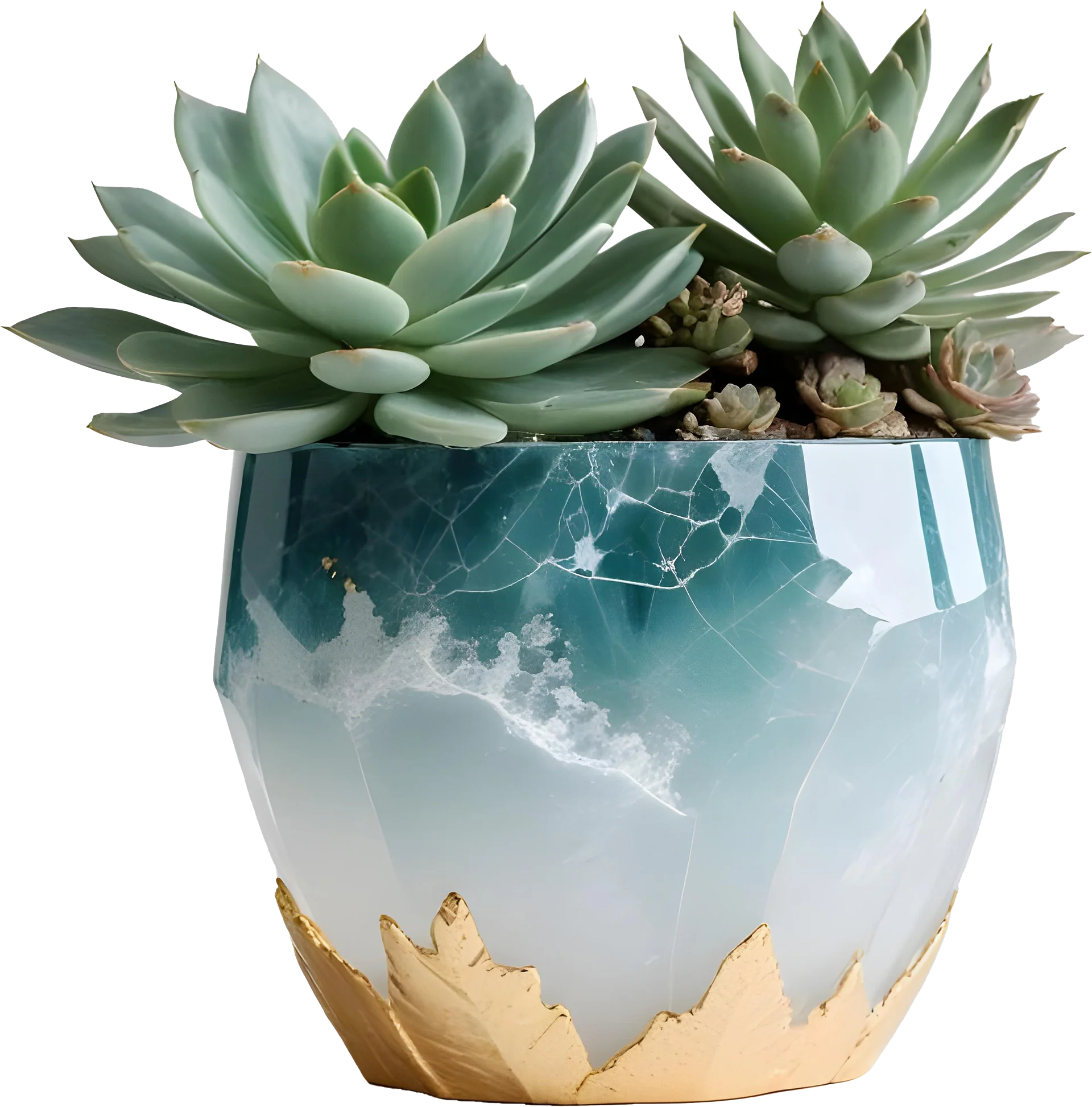 Aqua Serenity – Pot with Succulent PNG product image (1)