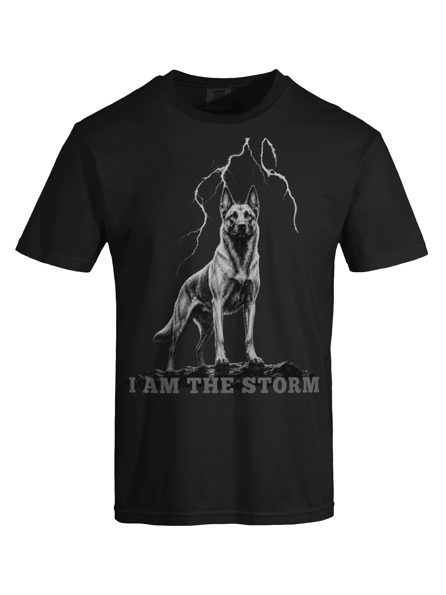 I AM THE STORM product image (13)