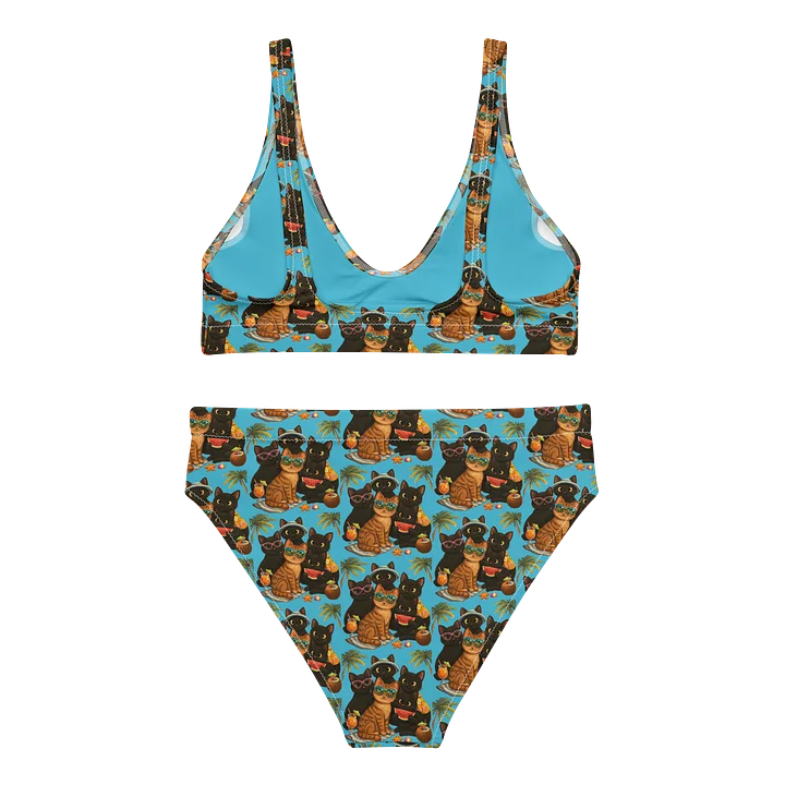 Cat Brigade summer High-Waisted Bikini Set product image (2)
