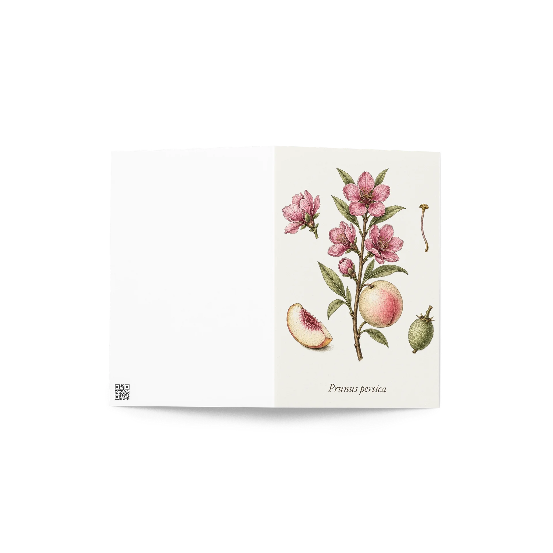 Vintage Botanical Peach Blossom Greeting Card product image (4)