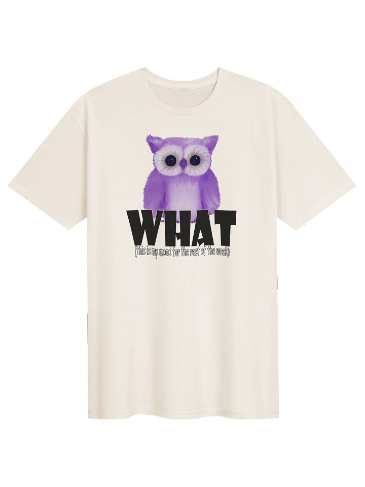 Unisex Gildan Softstyle T-Shirt product image (1)
