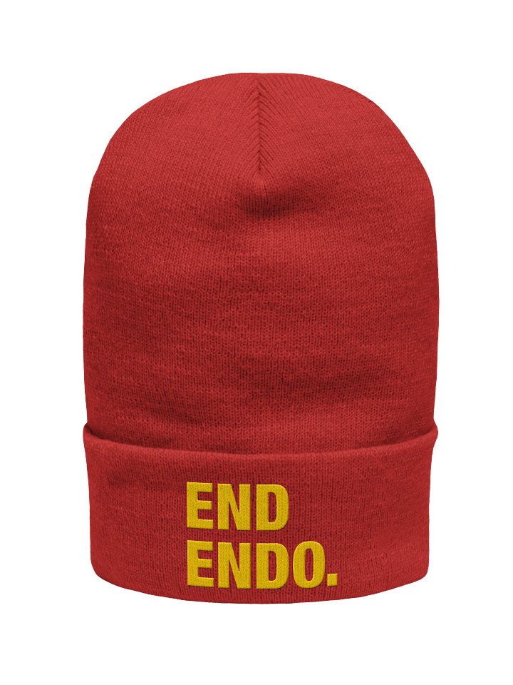 End Endo Beanie product image (6)