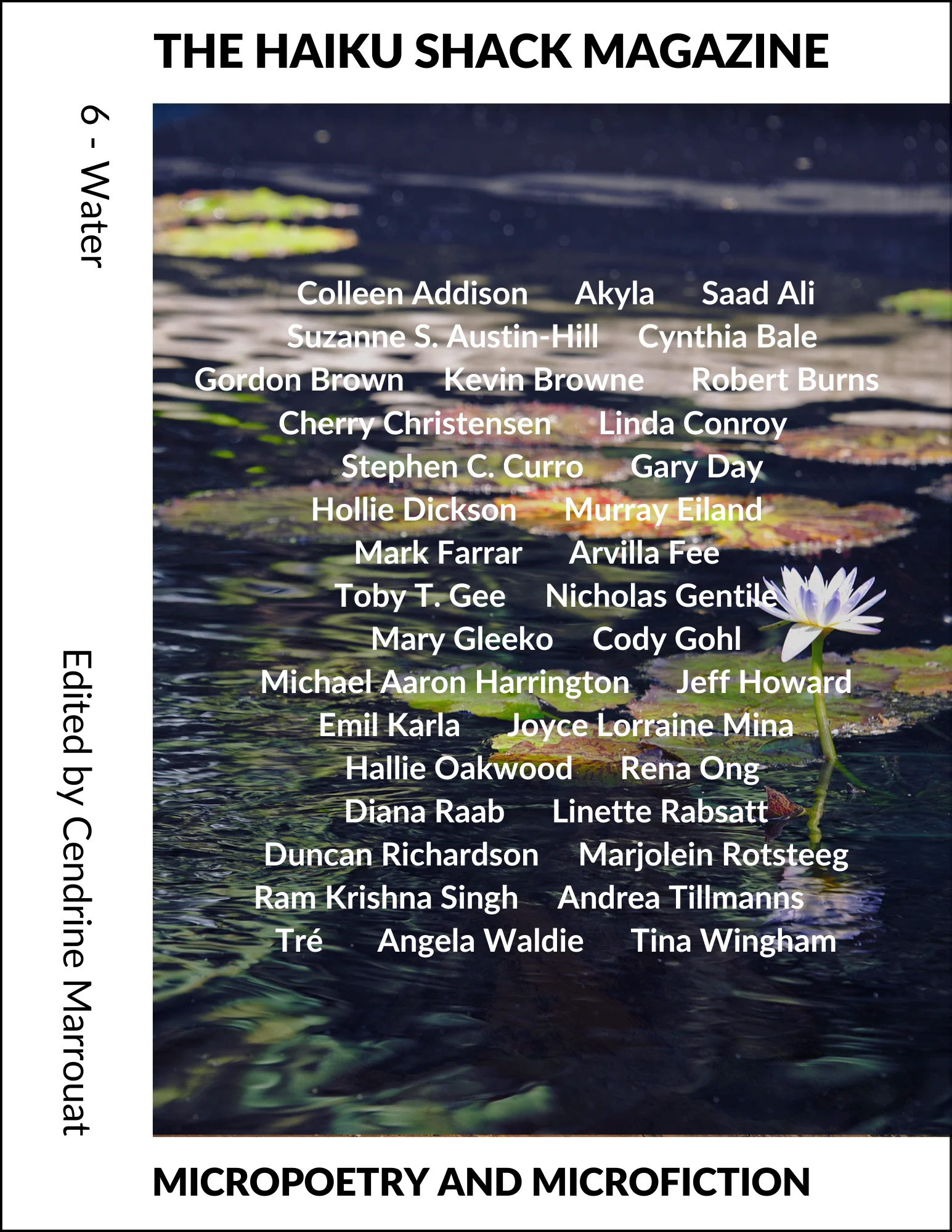 The Haiku Shack Magazine: Issue 6 product image (1)