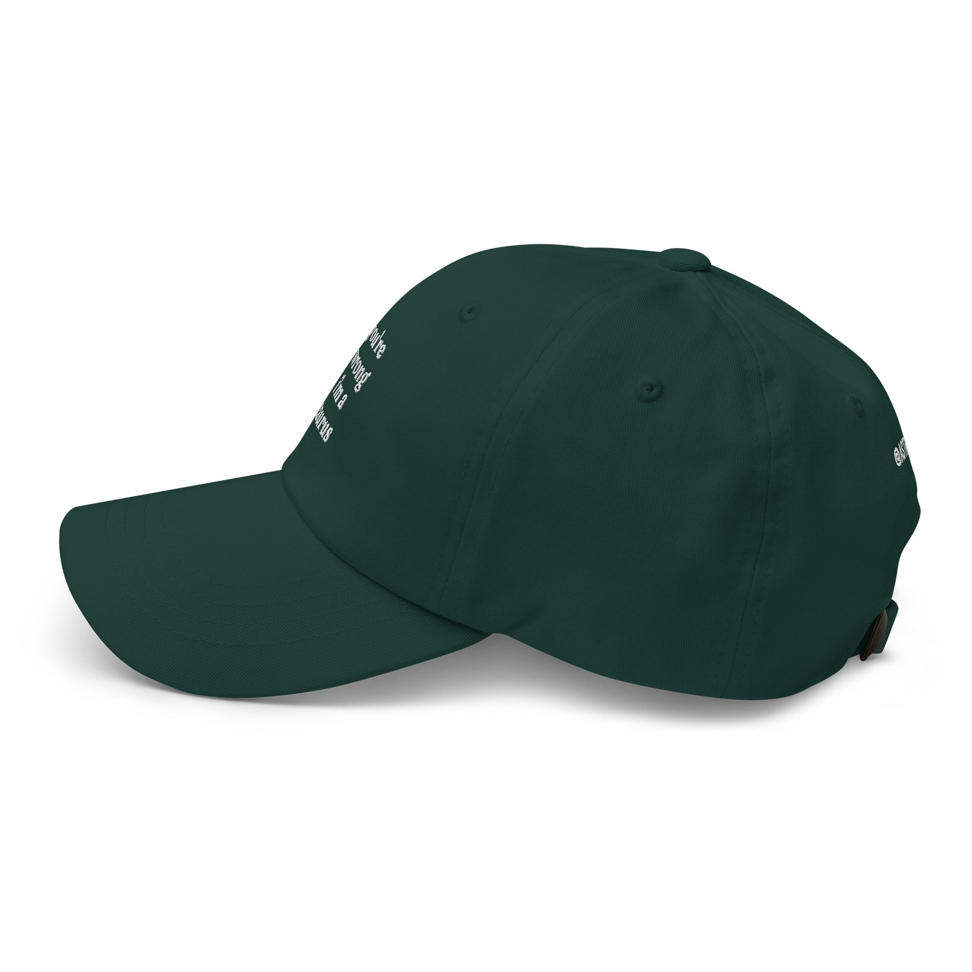 you're wrong taurus embroidered cap product image (53)