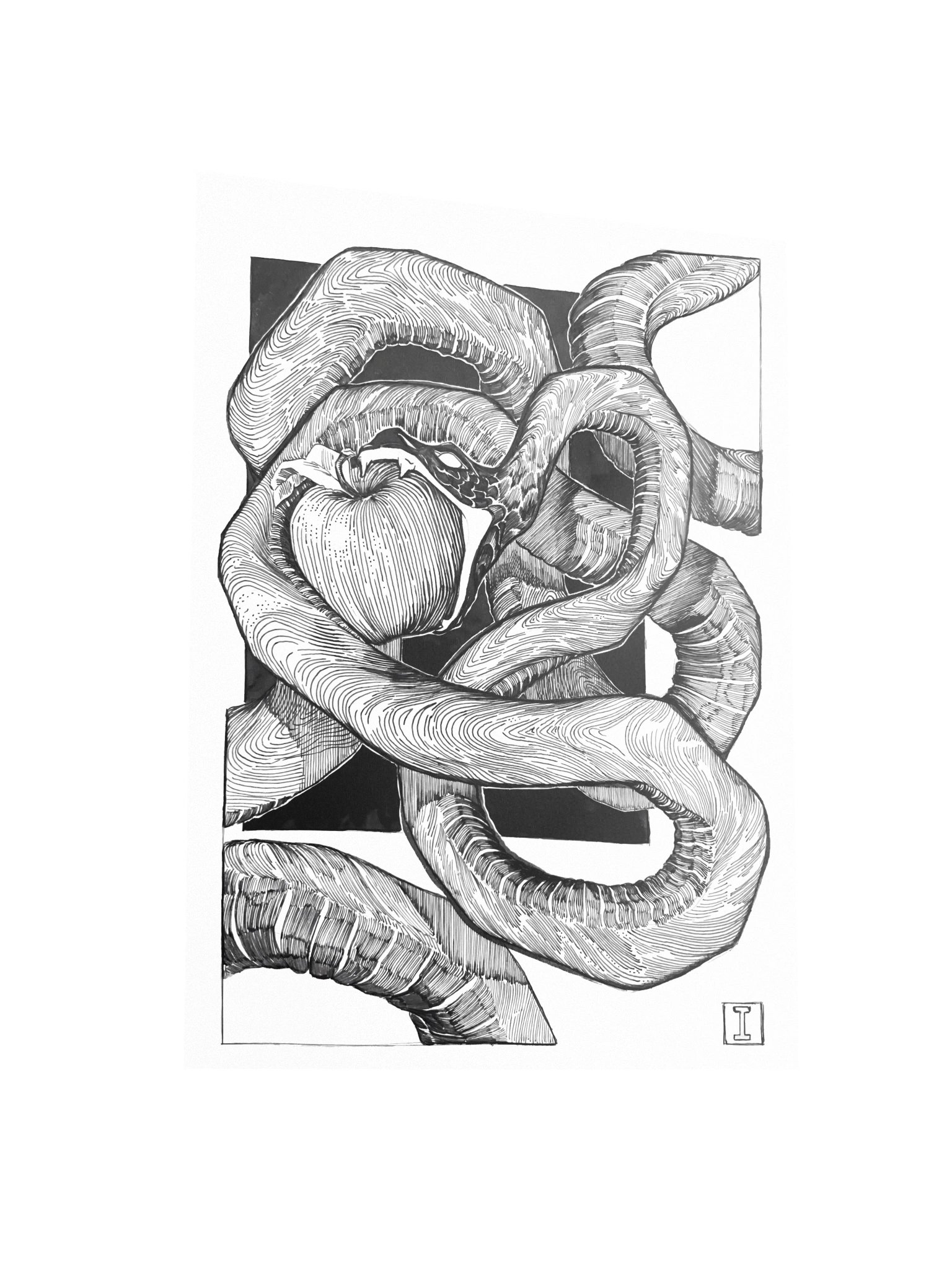 Inktober art. “Apple” (Poster) product image (3)