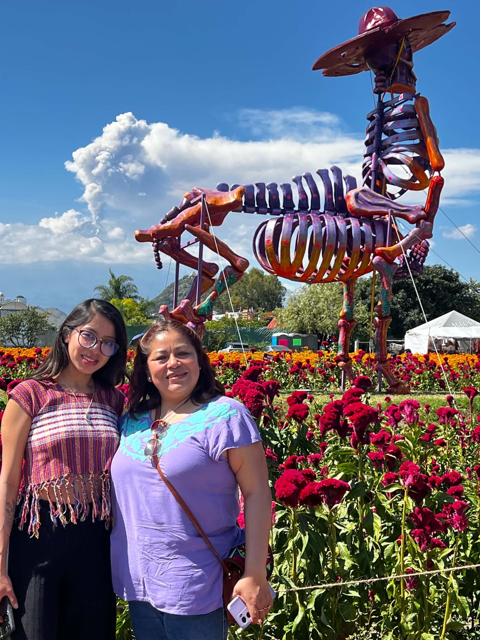 Tour. Campos de Cempasuchil y Valle de las Catrinas en Atlixco product image (8)