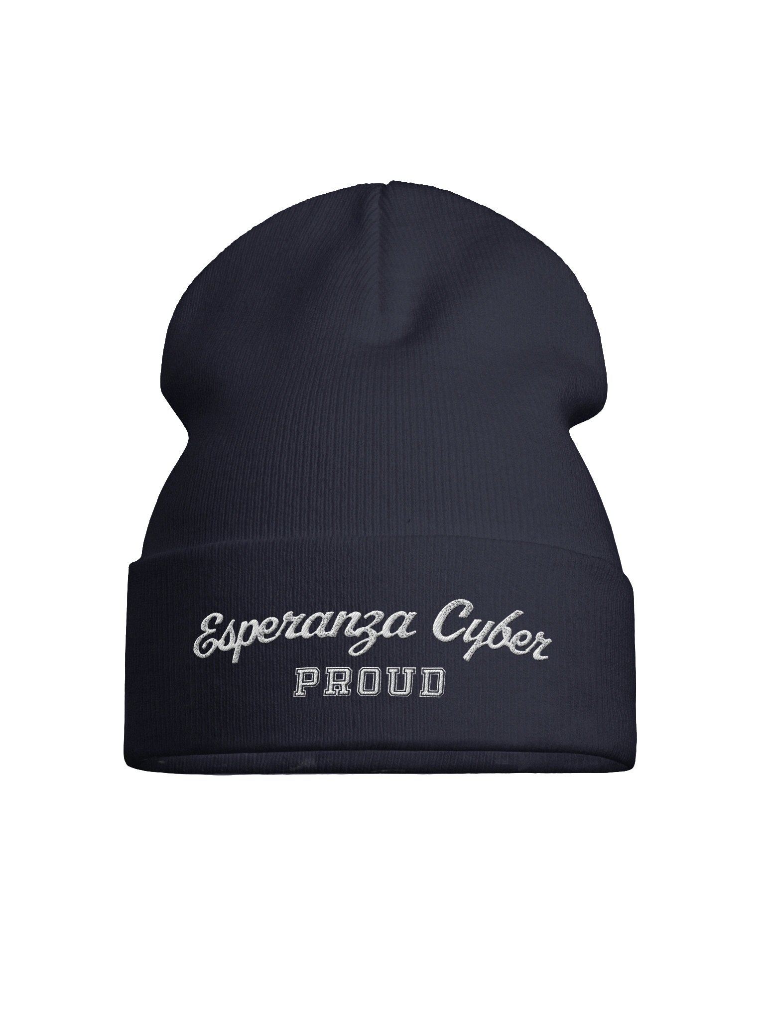 Proud Beanie product image (1)