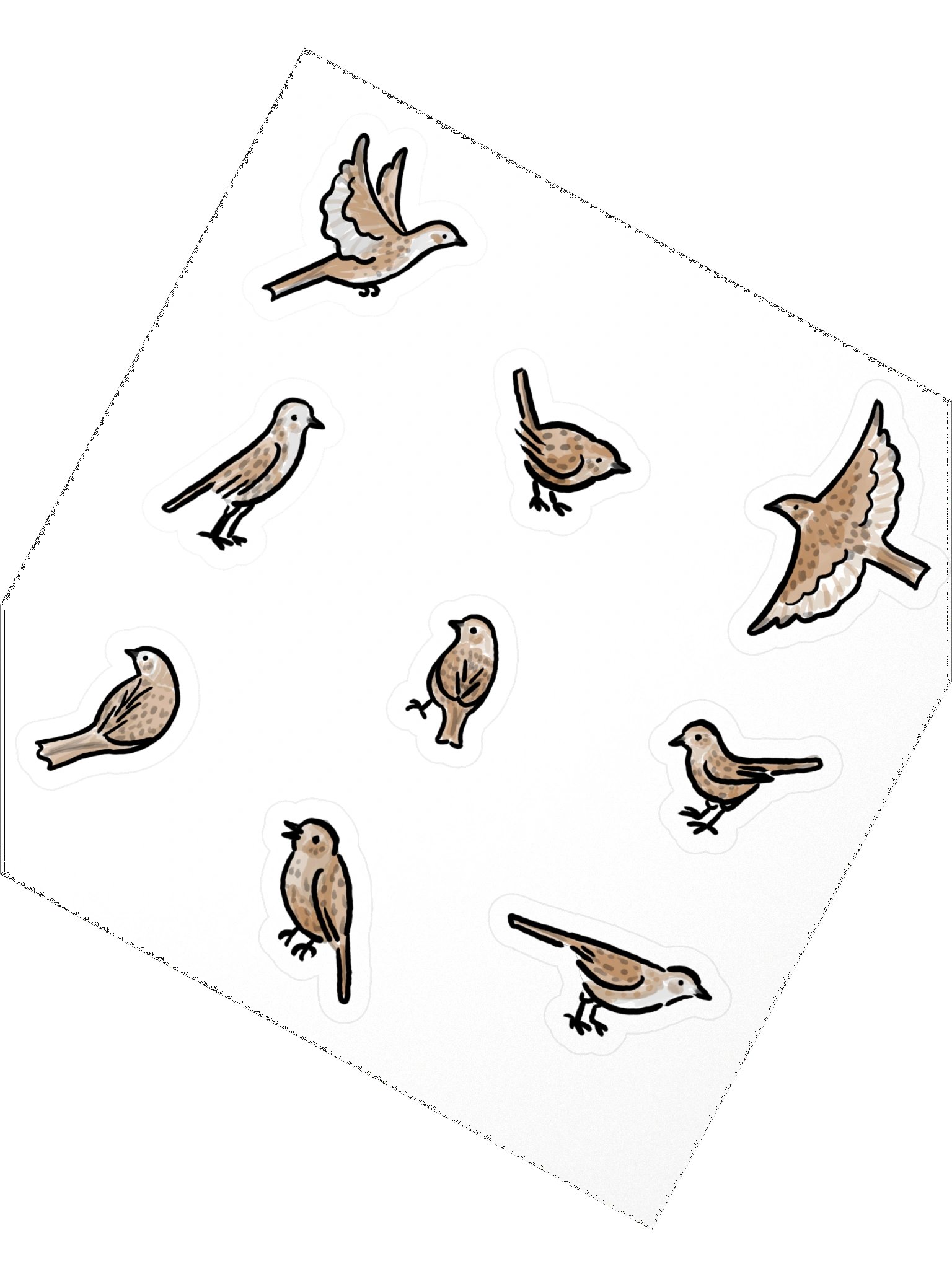 cute dunnock birds product image (2)
