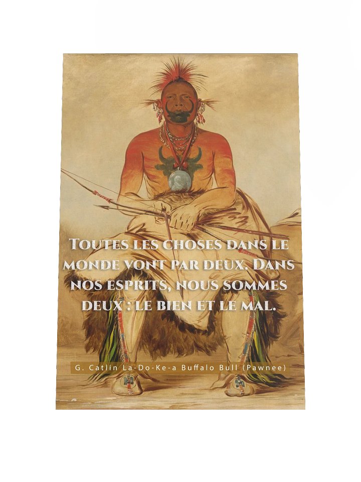Buffalo Bull - Poster product image (1)