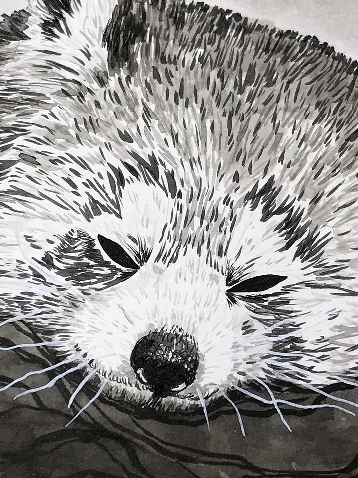 original artwork : red panda product image (2)