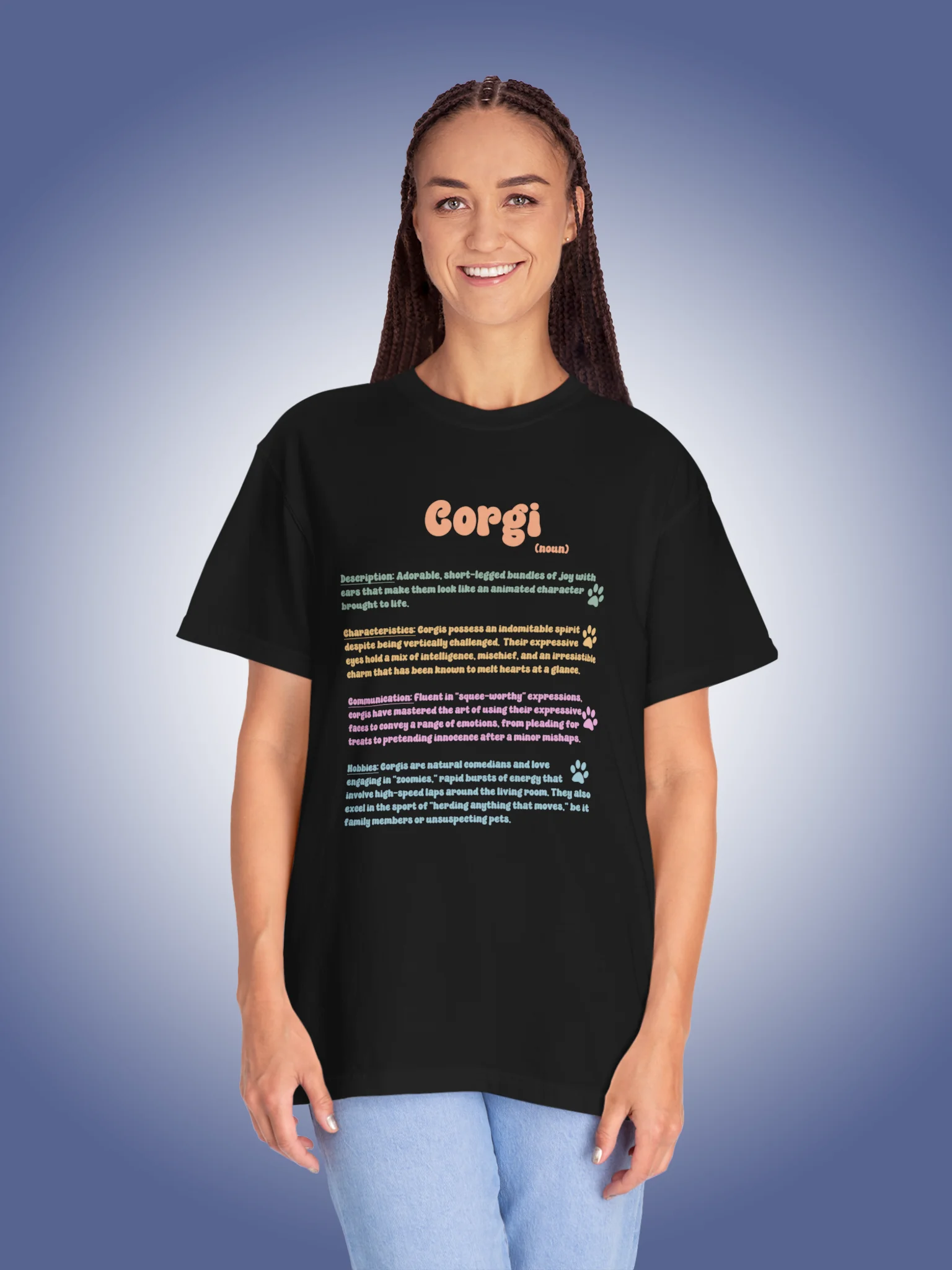 Definition of a Corgi product image (1)