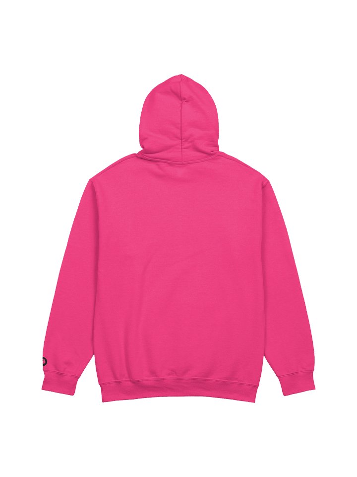 Curdia Black Brand Embroidered Hoodie product image (4)