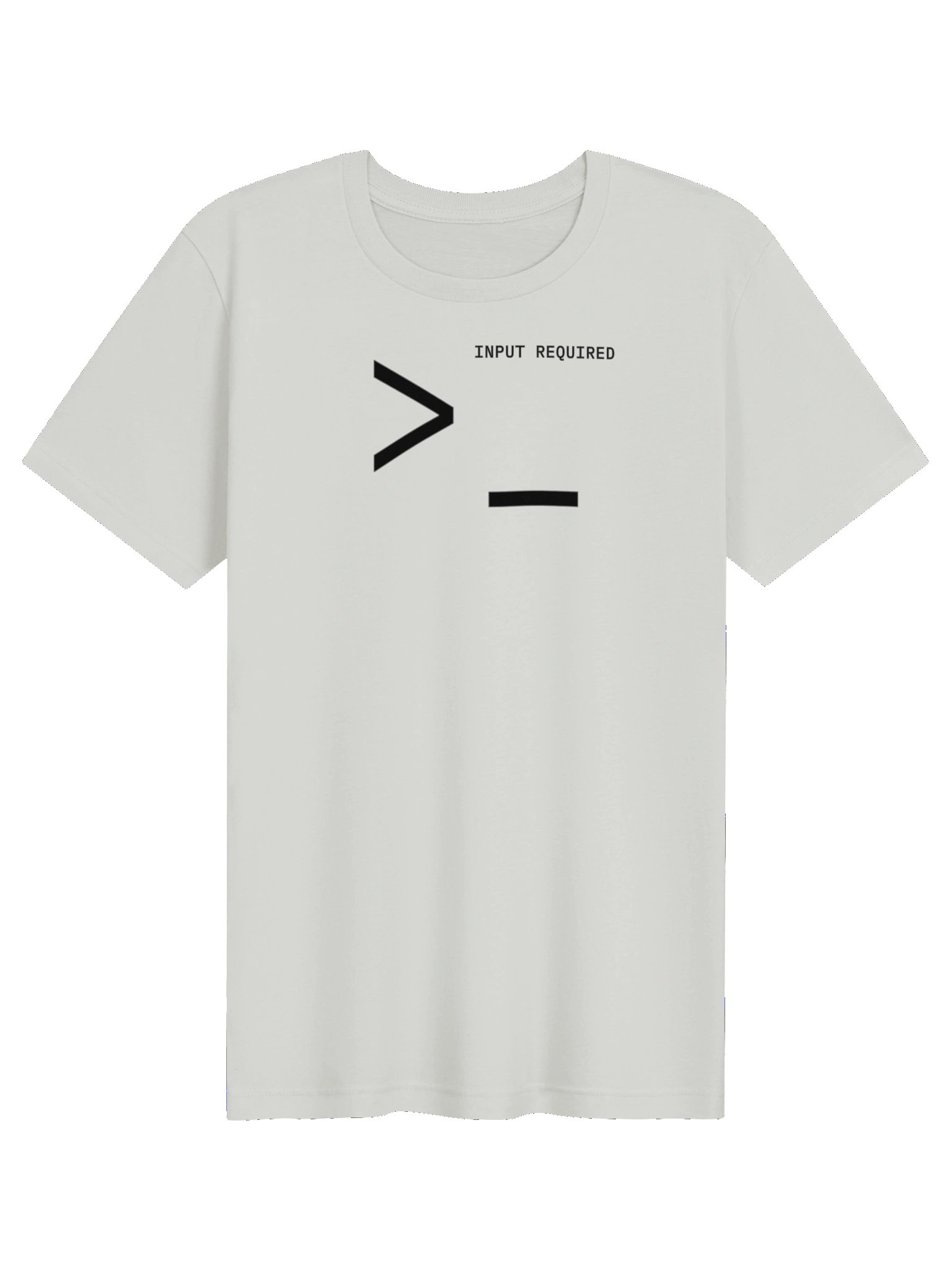 INPUT REQUIRED Minimalist T-shirt product image (37)