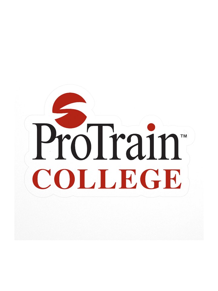 ProTrain COLLEGE Kiss Cut Stickers product image (3)