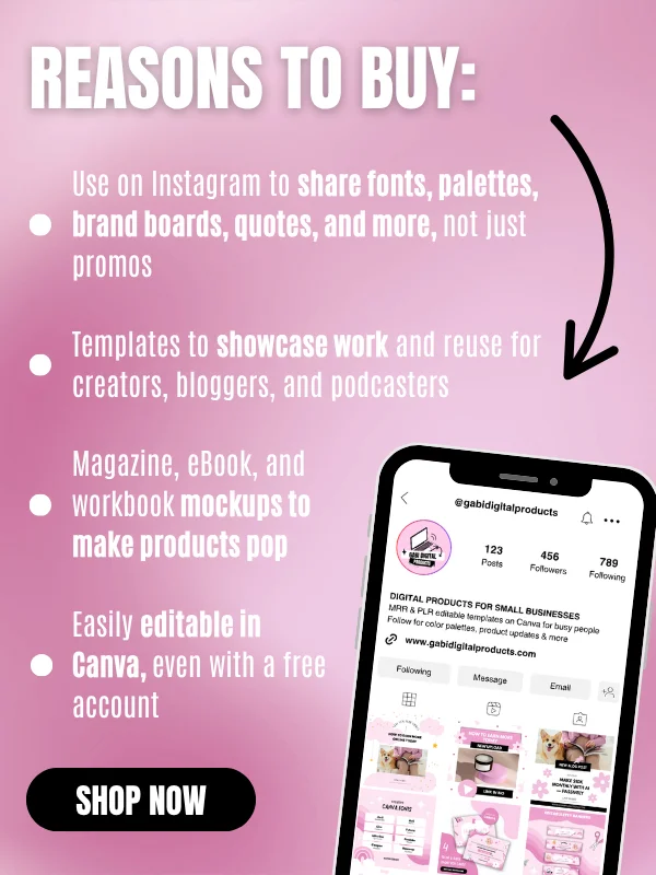 MRR/PLR Instagram Templates for Digitals product image (7)