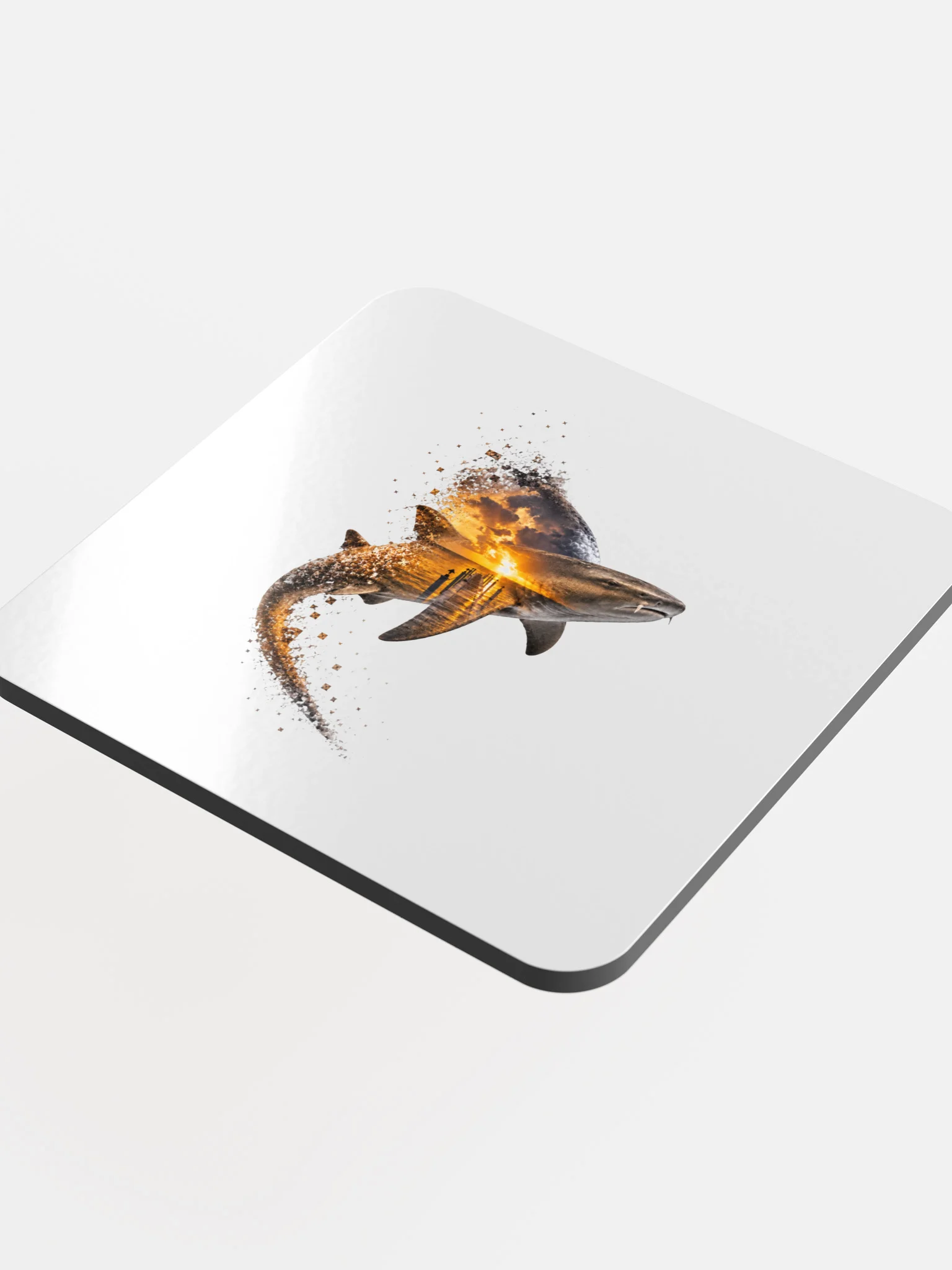 Nurse Shark Cork Coaster - Keys Collection: Dock Edition product image (4)
