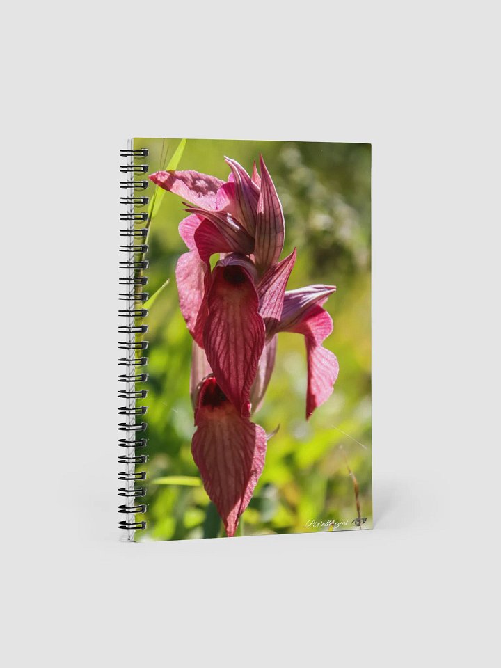 📓 Notebook Collection PURE – Orchidée sauvage – Jardin du Rayol product image (1)