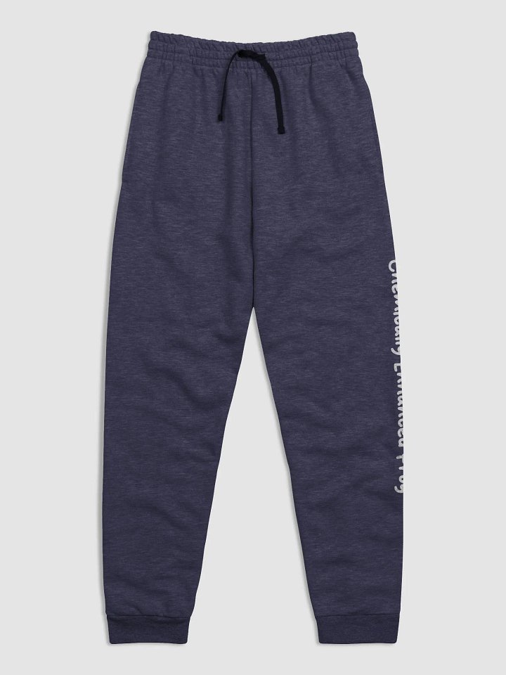 Phrogie Pride Joggers product image (1)